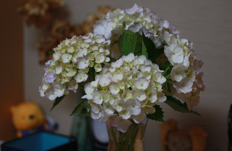201006123