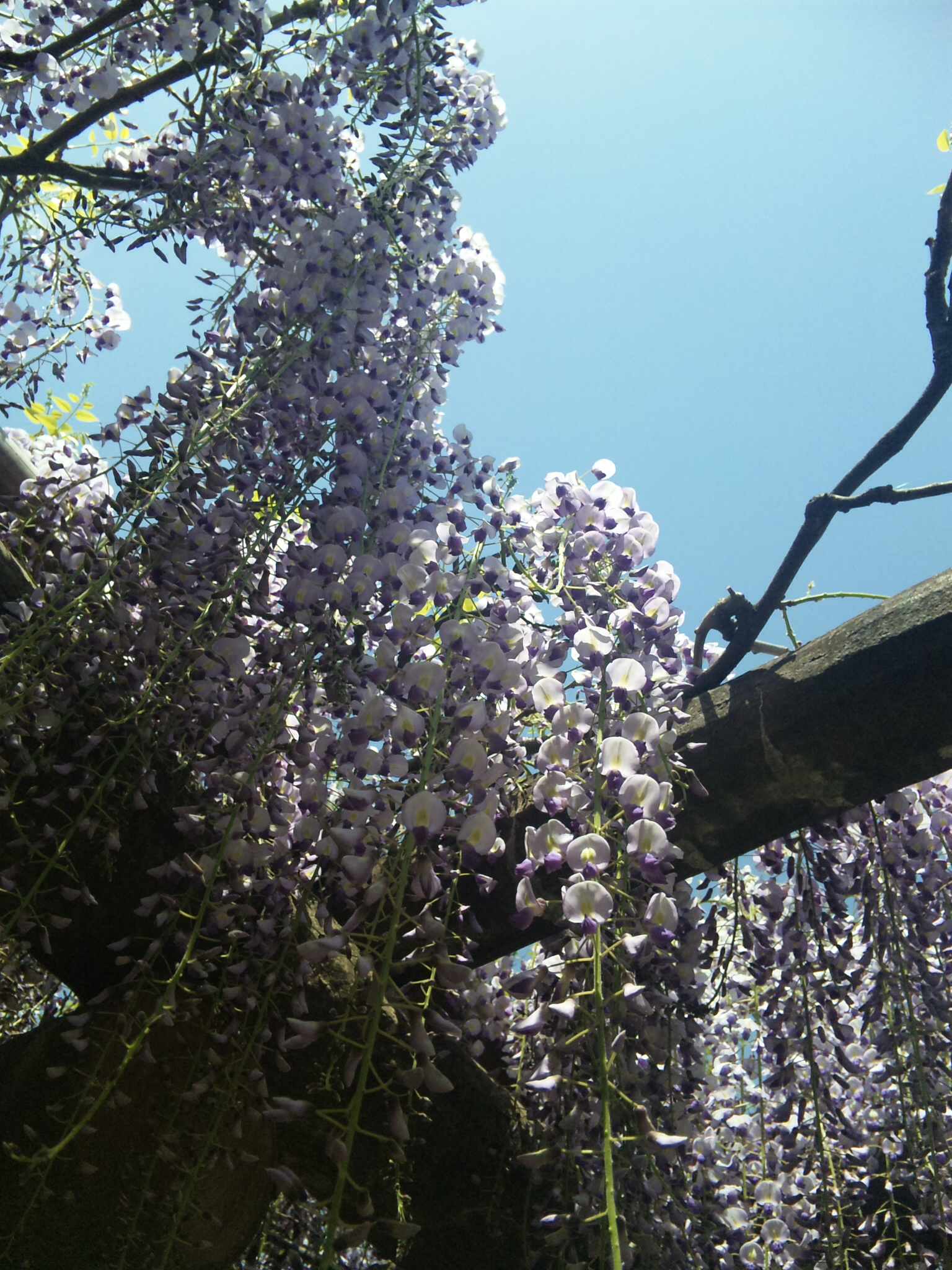 100508_1044391