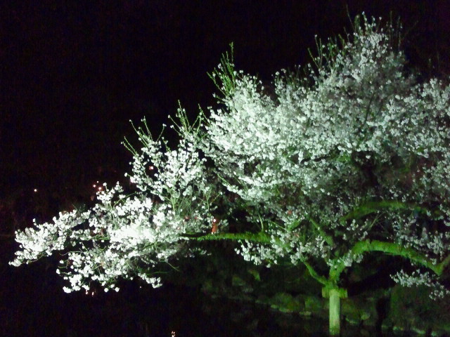 2012041419240000