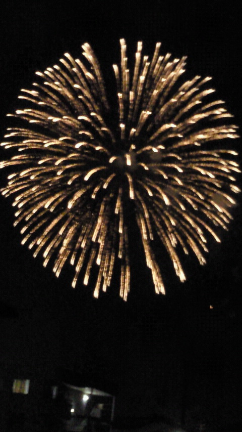 2010073120140001