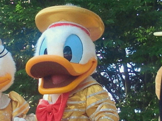 2013060218310000