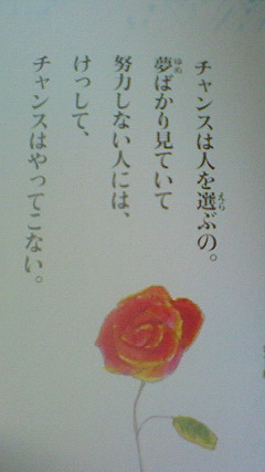 NEC_0429