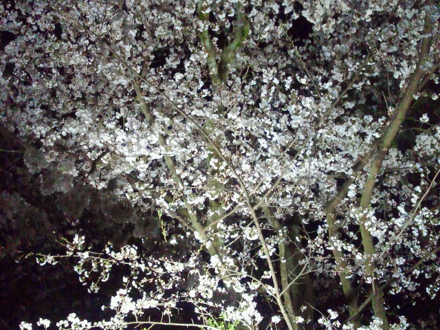 2012041419230000