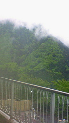 NEC_0645
