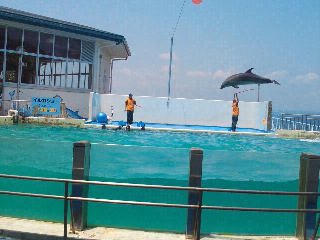 2012051611460001