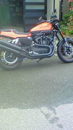 NEC_0289