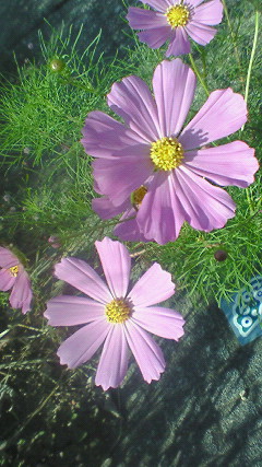 NEC_0397