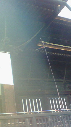NEC_0337