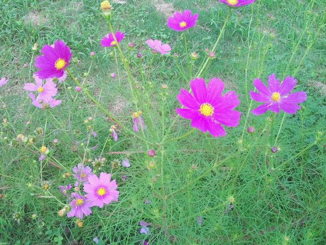 2012100215160000