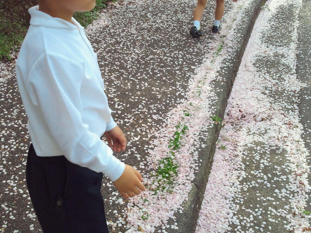 2012042514250000