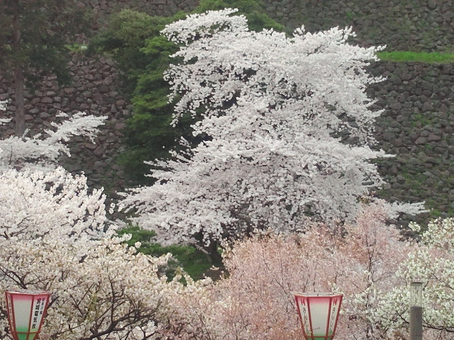 2014041316030000