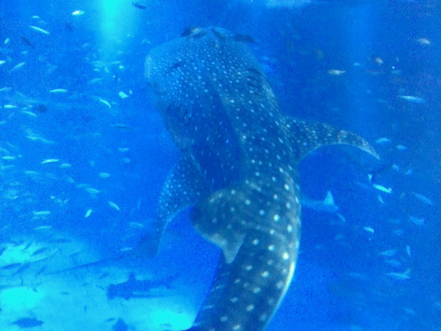 2012051611040000