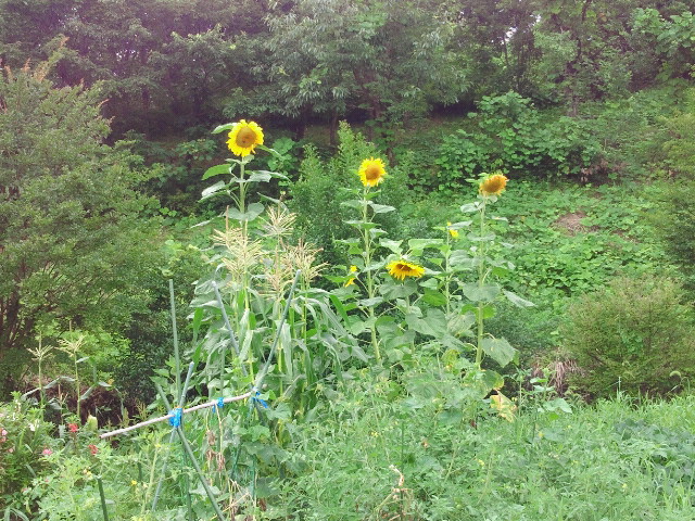 2012072013190000
